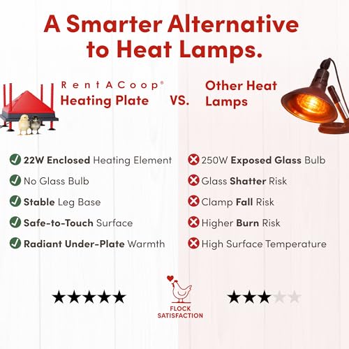 RentACoop 12x12” Adjustable Heating Plate with Foldable Anti-Roost Cone