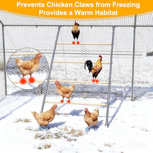 Chicken Perch for Coops Chicken Roosting Perch/Ladder for Hens Chick | 42''x 54.5'' for 10-12 Chick Outdoor Indoor Use Chick Coop Accessories for Backyard Poultry Habitat Supplies - color: Silver, size: 55.0"L x 40.5"W x 1.0"H