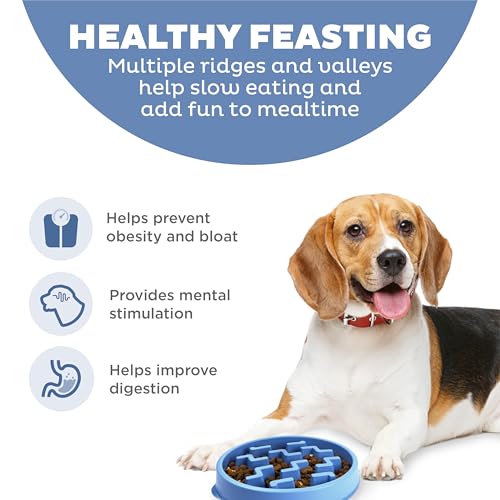 Outward Hound Fun Feeder Slo Bowl – Medium 2‑Cup Capacity, Slow Feeding, Small to Medium Dogs & Cats, Non-Slip, Blue, Notch Pattern - color: Blue, size: Medium