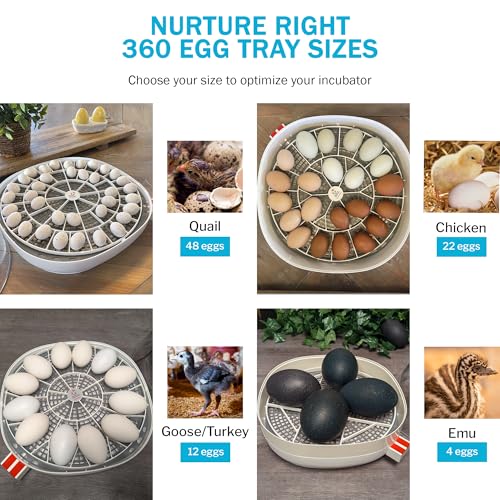 Egg Trays for Nurture Right 360 Egg Incubator (Various Sizes) (Extra Large w/Riser (Emu)) - size: 13.0"L x 13.0"W x 1.7"H