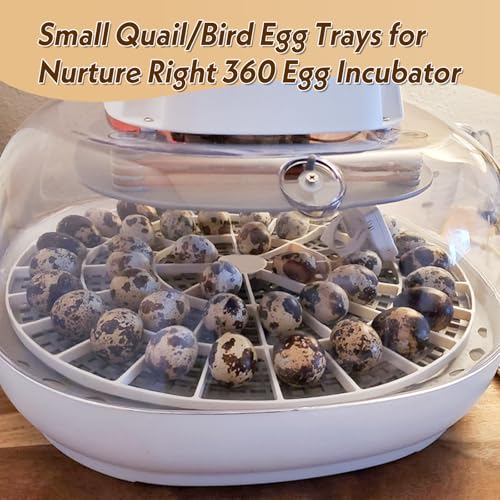 Small Quail/Bird Egg Trays for Nurture Right 360 Egg Incubator ，Small (Quail/Bird) - 48 Eggs