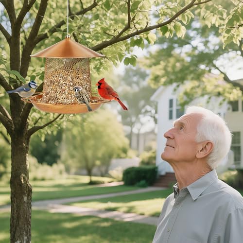 LBTING Bird Feeder, Wild Bird Feeders, Metal Lantern-Shaped | Hanging Outdoor Garden Yard Outside, Bright Gold