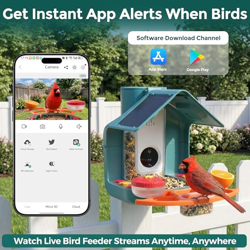 Smart Bird Feeder with Camera, Dual Solar Panel & 2K HD Live Streaming, AI Bird ID + Instant Alert, IP65 Weatherproof for Outdoor Garden Patio, Gift for Bird Lovers
