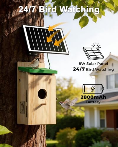 Bird House with Camera,Solar Smart Birdhouse with Camera Inside | Motion Detect & Night Vision,App Control,Wi-Fi Bird Watching for Backyard Nesting,Bird House for Outside with Camera,Green - color: Light Green