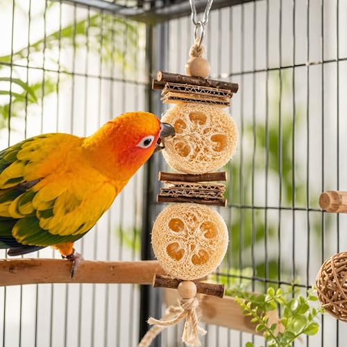Parrot Shredding Chew Foraging Toys, 10pcs Loofah Chewing Parrot Toys, Bird Cage Shredder Toy, Bird Toy for African Grey Macaws Cockatoos Cockatiel Conure (10 Loofah Slices)