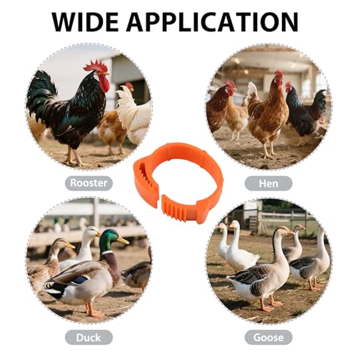 Chicken Leg Rings, 100 pcs, Numbered Tag Markers, Orange | Adjustable Foot Label, With Buckle, Clip-on Band, For Poultry Pigeon Chicks Bantam Duck Goose