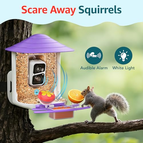 birdsnap® TUC Bird Feeder with Camera Solar Powered 2K Video with 32GB Card | AI Bird Species Identification, Squirrel-Proof, IP65 Waterproof, Outdoor Wireless, 2.4G WiFi, Gift for Mom Dad Bird Lovers - color: Purple