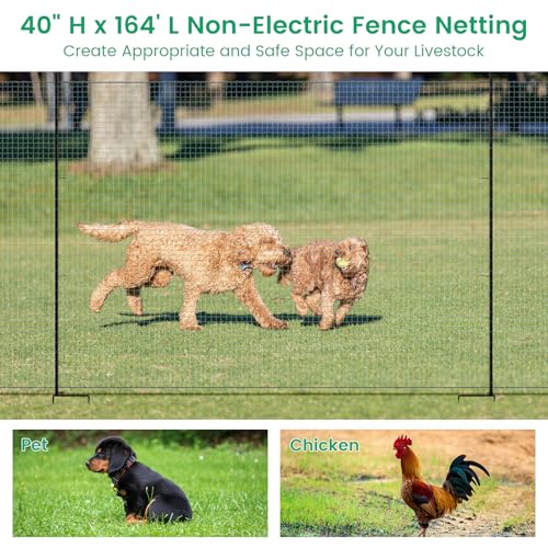 Non Electric Fence Netting 40" x164' Poultry Fence with Double Spiked Post | Portable Poultry Fence All-Purpose Fencing for Dogs, Chickens, Ducks, Turkeys Suitable in Backyard, Garden, Farm - size: 40in x 164ft