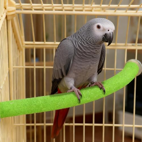 Rypet 90-Degree Parrot Perch for Cage Corner, Quartz Bird Perch (Green XL) | For Paw Grinding Clean Stick Exercise, Rough Quartz Surface, Small Parakeets Cockatiel Conures - color: Green-corner-90, size: X-Large