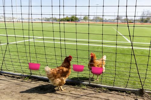 Cage Cups for Chickens 3 Pcs Hanging 25oz Feeder Waterer,Pink Food Bowl Coop Dish Water Dispenser Drinker Grit Container for Rabbits Birds Pigeon Duck and Small Animals - color: PINK