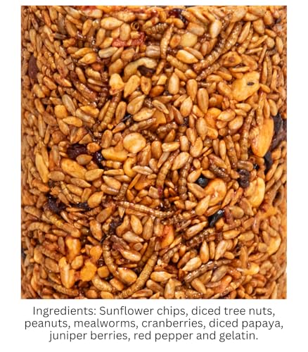 JCs Wildlife Squirrel Stopper Bugs Nuts & Berries Small Cylinder 1.5lbs (12-Pack) - size: 1 Count (Pack of 12)
