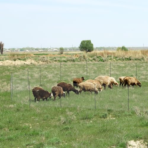 Non Electric Fence Netting 40" x164' Poultry Fence with Double Spiked Post | Portable Poultry Fence All-Purpose Fencing for Dogs, Chickens, Ducks, Turkeys Suitable in Backyard, Garden, Farm - size: 40in x 164ft