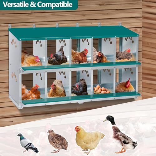 Chicken Nesting Box, 10 Compartment Nesting Box, | 10 Room Metal Nesting Boxes for Chicken, Green