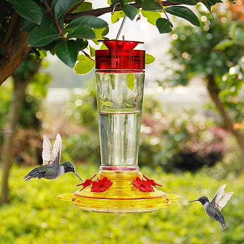 Shrdaepe Hummingbird Feeder, Glass Bottle Bird Feeders, 5 Feeding Ports (Red & Yellow) - color: Red & Yellow
