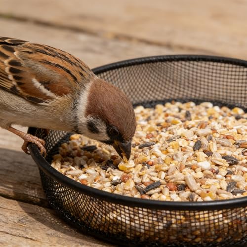 2 Pcs Ground Bird Feeder, Metal Mesh Round Birds Seed Feeder Tray ﻿ | Mesh Tray Outdoor Accessory
