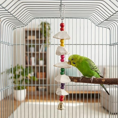 Cuttlebone for Birds, 3 Pack Natural Calcium Supplement and Beak Maintenance Toys, Bird Cage Accessories for Parakeets Small to Medium Pet Birds, Interactive Play and Nutritional Support