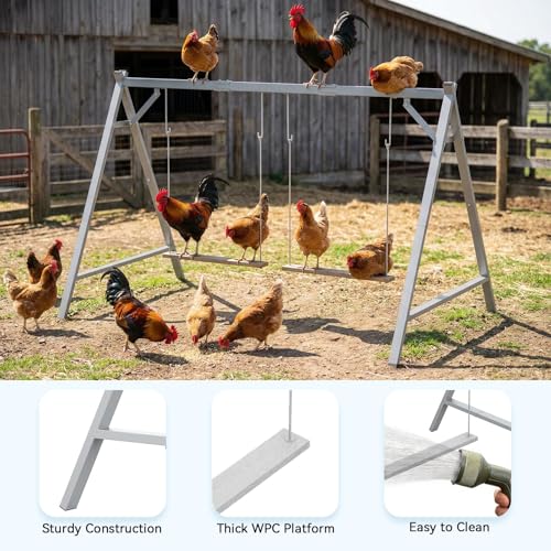 Chicken Perch Swing, Chicken Roosting Bars for 6–8 Chicken, Grey | With 2 swings, Made of Premium Metal with a Sturdy Structure, Indoor & Outdoor Use, Easy to Install and Clean