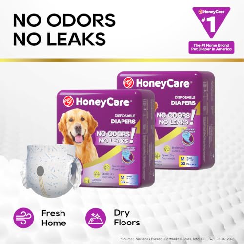 HONEY CARE All-Absorb Disposable Female Dog Diapers M Size, Improved Bigger Size, 36 Count, Super Absorbent, Breathable, Wetness Indicator (Pack of 1, 36 Count Total) - size: Medium (Pack of 1)