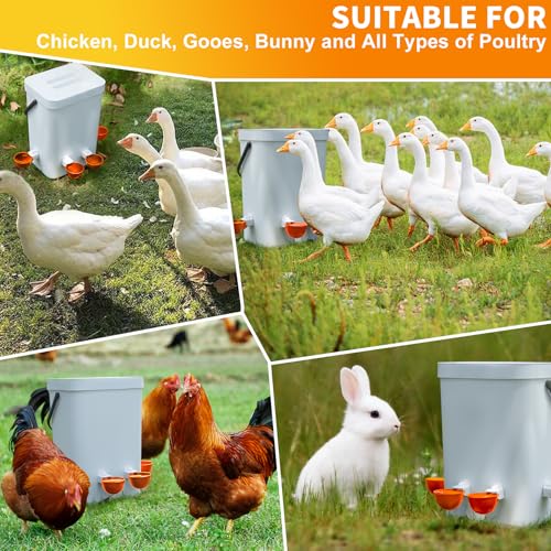 Chicken Water Cups 12 Pack, Automatic Filling Waterer Feeder Bowl, Gravity Poultry Watering System, Chicken Water Dispenser, Chicken Coop Accessories for Hens, Duck, Goose, Turkey (Orange) - color: Orange 12cups