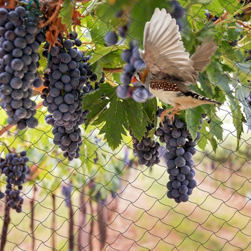Unves 50 x 50 Ft Bird Netting, 2.4" Square Mesh Bird Net for Chicken Coop, Nylon Heavy Duty Poultry Netting Garden Protection for Chicken Run, Protect Plants Fruit Trees from Deer and Animals - size: 50' x 50'