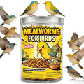Premium Dried Mealworms for Birds, 4 oz Canister - 100% Natural Bird Food Wild Bird Treat - High Protein Feed for Chickens, Bluebirds, Robins & Wild Birds - Easy-Pour Container (4 oz)