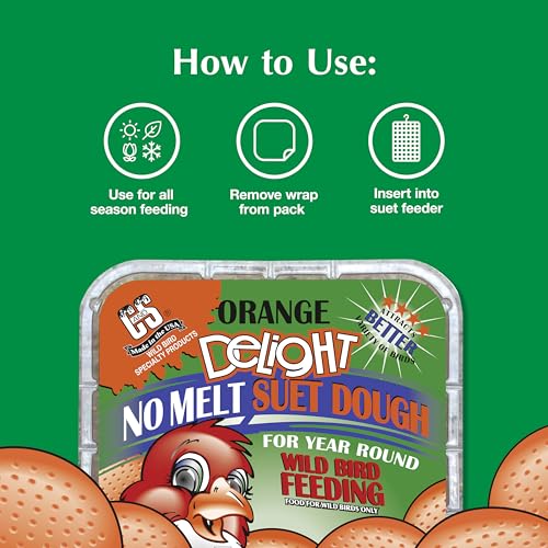 C&S Orange Delight No Melt Suet Dough, Suet Cakes for Wild Birds Including Robins, Blue Jays, Bluebirds, Tanagers, Thrushes and More, 8 Pack - size: 1.47 Ounce (Pack of 8), style: Orange, 8 Pack
