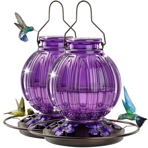 2 Pack Glass Hummingbird Feeder for Outdoors Hanging, Bird Nectar Feeder with Perch & 5 Flower Feeding Ports, 26 Oz Leak Proof for Outside Garden Decor Backyard, Gifts for Women Mom, Purple - color: Purple + Purple