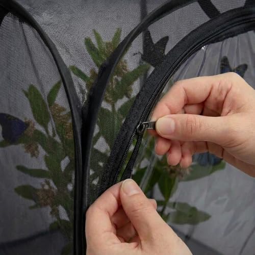 Insect & Butterfly Habitat Cage, Portable Pop-Up Terrarium with Mesh Sides, Bug Catching & Observation Enclosure for Caterpillars, Small Insects, Outdoor & Classroom Use, 16 Inches Tall - color: Black/Black, size: 16 × 16 × 16 inches