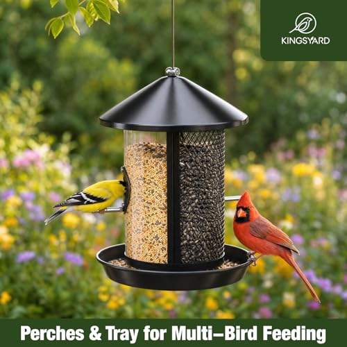 Kingsyard Metal Bird Feeders for Outdoors Hanging, Tube Bird Feeder | 4 lbs Capacity, Dual Chamber Design, 2 perches & 360 Degree Perch, Weatherproof, Chew-Proof, Easy to Clean & Refill, Black