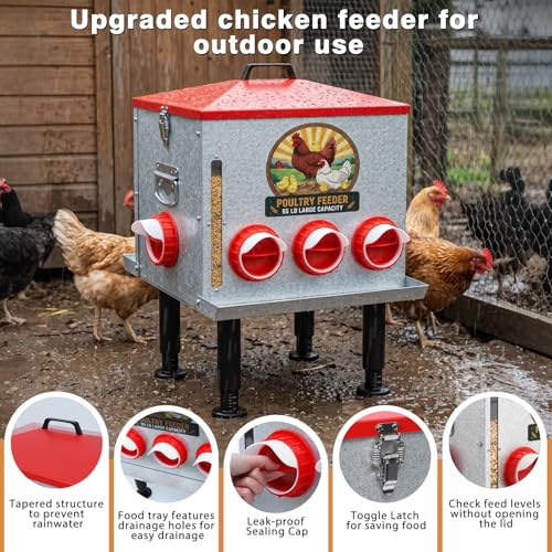 55LB Large Automatic Chicken Feeder with View Window & No-Waste Food Tray | 8 Feeding Ports Galvanized Steel Raised Chicken Feeder with Waterproof Locking Lid & Height Adjustable Stand for Ducks, Geese