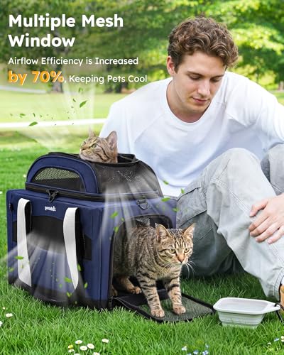 Pecute Cat Carrier, Top Expandable Dog Crate for Travel, Blue | 5mm Anti-Collapse Steel Frame, Soft Mesh, Vet Visits, Foldable Travel Crate,Outdoor Hammock, Leakproof Pee Pad & Bowl - color: Blue