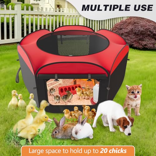 Brooder Box for Chicks Starter Kit - 5 in 1 Chick Enclosure Tent Collapsible Chicken Brooder with Heating Plate, Feeder, Waterer, Perch, Fits Baby Chicks, Ducks, Quail - color: Chick Brooder with Heating Plate and Bundles