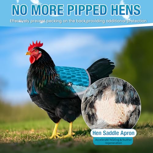 Chicken Saddle for Hens - Chicken Aprons for Hens With Adjustable Straps, Chicken Aprons & Vest Jacket for Hens - style: Blue Feather