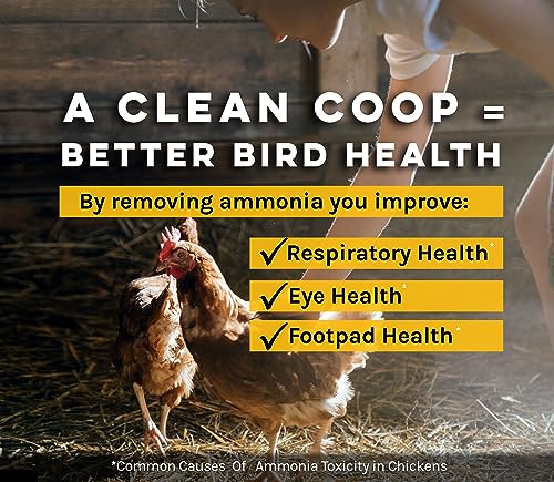 MICROBE-LIFT Chicken Coop Cleaner and Odor Eliminator, Use on All Surfaces and Supplies, Turns Chicken Poop Into Fertilizer, Ammonia Reducer, Highly Concentrated and Safe Formula, 32 Ounces - size: 32 Fl Oz (Pack of 1)