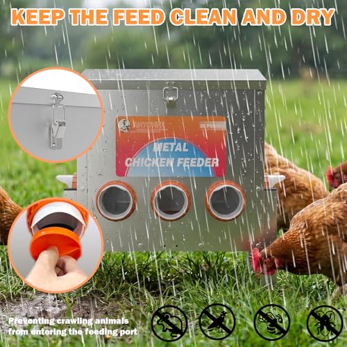 55LBS Automatic Chicken Feeder No Waste 5 Ports Metal Poultry Feeder with Adjustable Legs Perspective Window Latch & Handle for Chickens Bantams Pheasants - size: 5 Ports - 55 LBS