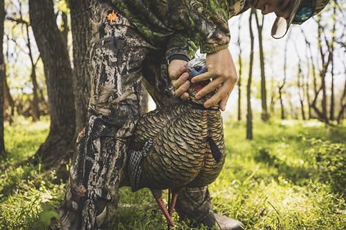 Avian-X LCD Feeder Hen Turkey Decoy with X-Factor Motion System – Realistic Lifelike Collapsible Standing Turkey, Durable Design, Carry Bag & Collapsible Stake for Hunting - style: HDR Jake