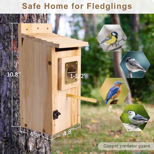 Bird Houses for Outside, Thicken Wooden Bird House with Copper Guard | Copper guard anti-predator, cottage style nesting box for bluebird, finch, swallow, wren, chickadee, outdoor garden use - size: 1 pack