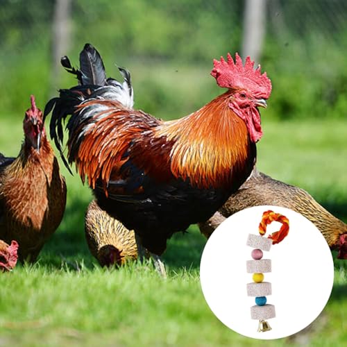2 Pcs Large Chicken Chewing Toy with Bell Chicken Coop Accessories Chick Beak Grinding Calcium Stone for African Greys Amazon Conure Eclectus Budgies Parakeet Cockatiel Hamster