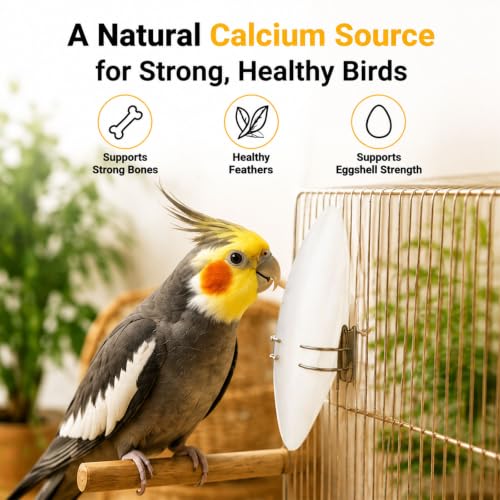 Amzey 12 Pack Cuttlebone for Birds, 4-6 Inch Natural Calcium Source for Parrots