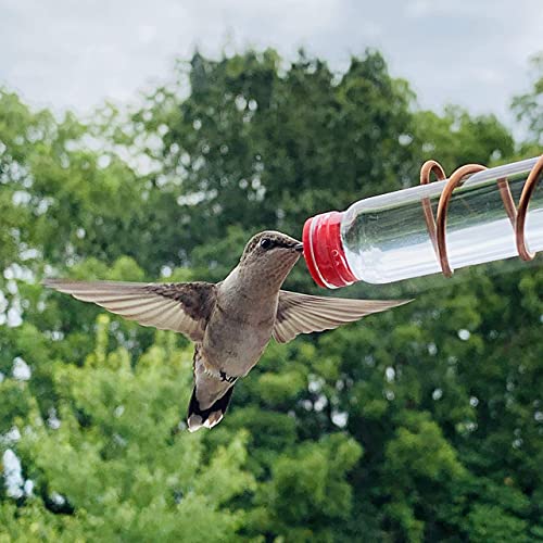 Window Hummingbird Feeder | Handcrafted Copper and Aluminum | Multiple Stations | Modern Hummingbird Feeder | Glass Bottles | Suction Cups (Copper, Four Station) - size: Four Station - Standard Perch