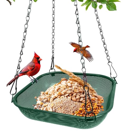 Hanging Platform Bird Feeder, 11 in Square, Green | Stainless Steel Mesh Seed Tray, Backyard & Patio, Outdoor Use - color: Green - Square