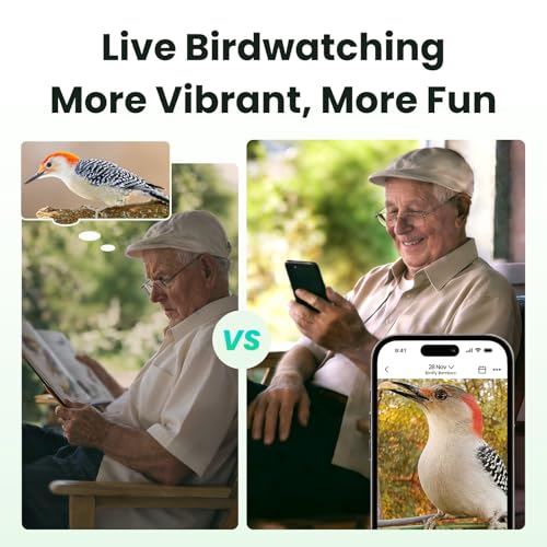 Smart Bird Feeder with Camera, Solar Powered, 2K Live Stream, Bamboo Bird Feeder with Metal Guard, AI Bird Identification with 7-Day Trial, Auto-Recorded Videos, Gift for Bird Lovers - style: BamG AI 7-day trail