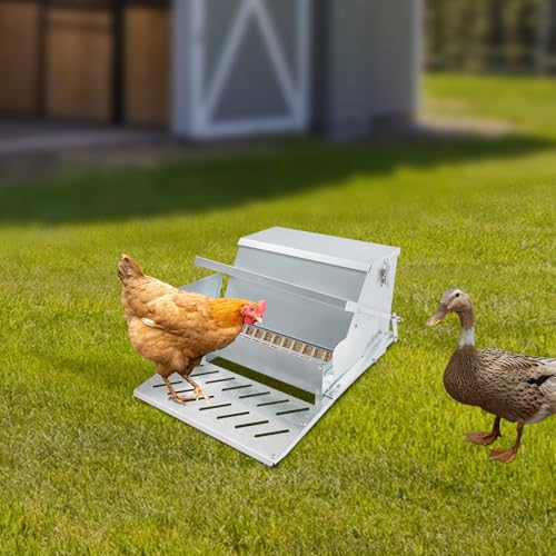 Galvanized Steel Automatic Chicken Feeder, 25LB Large Capacity Treadle Poultry Feeder, Rat Proof & Weatherproof Design for Hens, Ducks, Geese, Outdoor Feeding