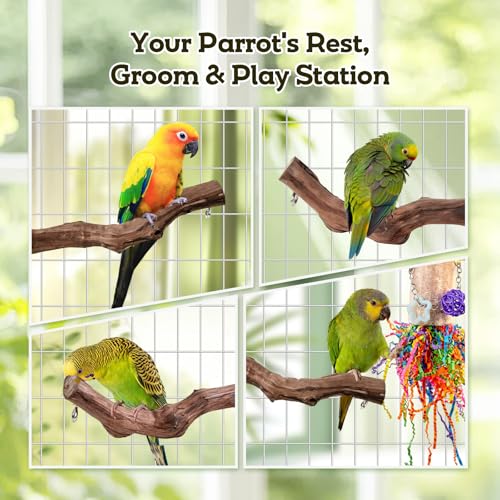 Bird Toys, Parakeet Foraging Toys, Hanging Chewing Toys with Natural Wooden Perches, Bird Cage Accessories, Suitable for Parakeets, Cockatiels, Budgies, Lovebirds & More - color: 5 pieces loofah