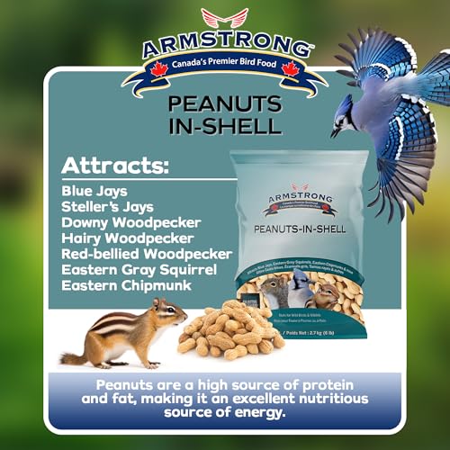Armstrong Wild Bird Food Wreath-Shaped Peanut Feeder + 6 lb Peanuts-in-Shell Bundle – Durable Metal Hanging Coil Feeder with Nutritious Peanuts for Blue Jays, Squirrels, and Backyard Wildlife - style: Peanut Coil Bundle