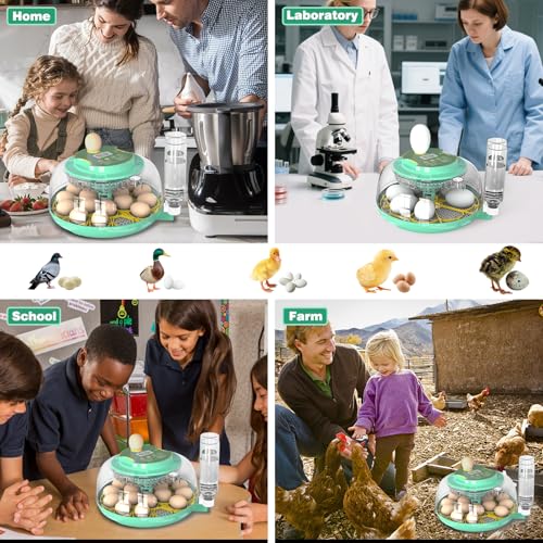 18 Egg Incubator with Automatic Egg Turning and Humidity Control,Chicken Egg Incubator, Large View Incubator for Chicken Duck Quail Eggs, External Water Refill, Egg Candler