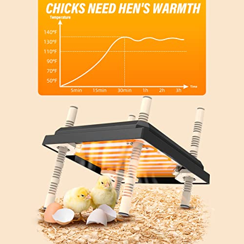 Brooder Heater for Chicks, 10”x10”Chicken Breeding Heating Plate Brooder Heating Heater Adjustable Height Chicken Incubator Heating Lamp Rutin Chicken Brooder Suitable for 15 Chicks (Dark)