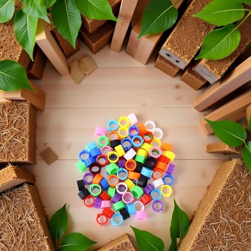 100 Pcs Multicolor Poultry Leg Rings, 10 Colors Poultry Foot Rings Bird Identification Leg Bands Clip-on Rings for Birds, Ducks and Chickens Diameter Poultry Feeding and Watering Supplies 8mm