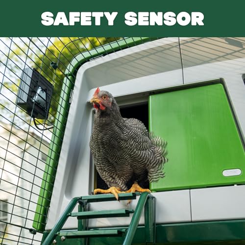 Omlet Automatic Chicken Coop Door Opener Operated by Light Sensor or Timer | Easy to Install, No Maintenance Required | Improves Coop Security and Insulation | Built-in Safety Sensors | Green - color: Green