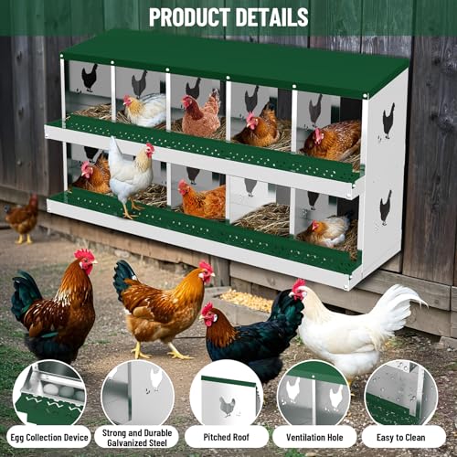 Garvee 10-Compartment Metal Chicken Nesting Box, Rustproof Galvanized Steel with Ventilated Holes, Removable Trays & Sturdy Bracket Legs, Easy Egg Collection - Green - color: Green, size: 10 Compartments